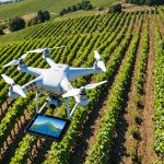 découvrez comment les drones révolutionnent la viticulture en optimisant les récoltes, en réduisant les coûts et en améliorant la gestion des parcelles pour des vendanges plus rentables et efficaces.